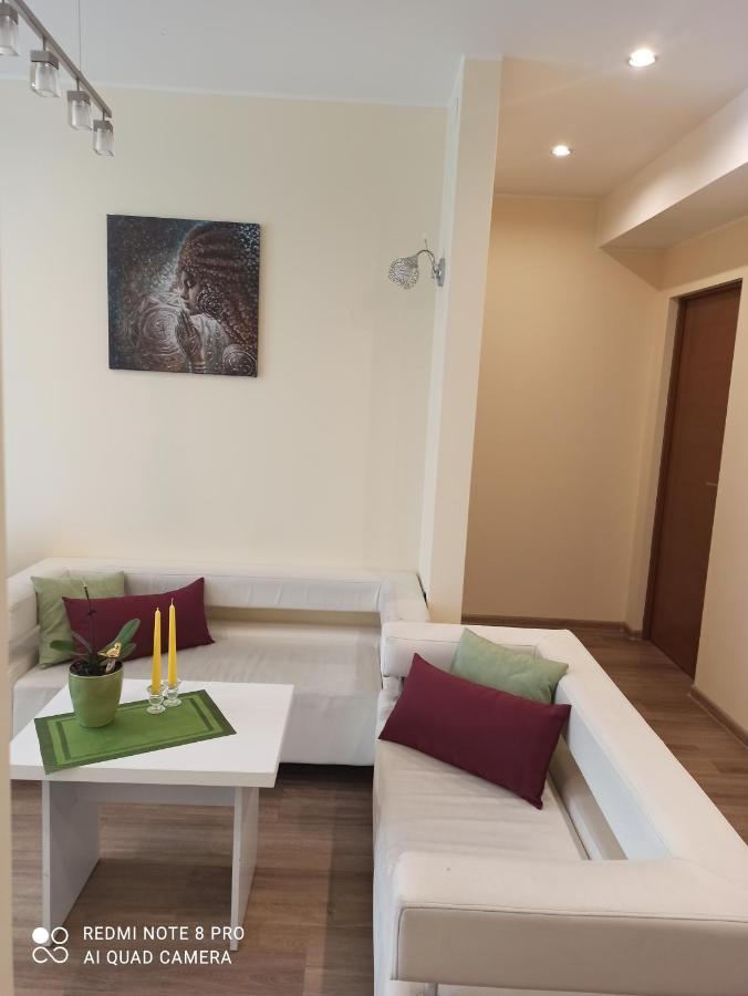 Nelli Apartamentai دروسكينينكاي المظهر الخارجي الصورة