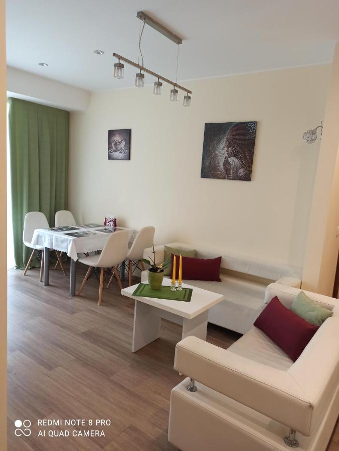Nelli Apartamentai دروسكينينكاي المظهر الخارجي الصورة