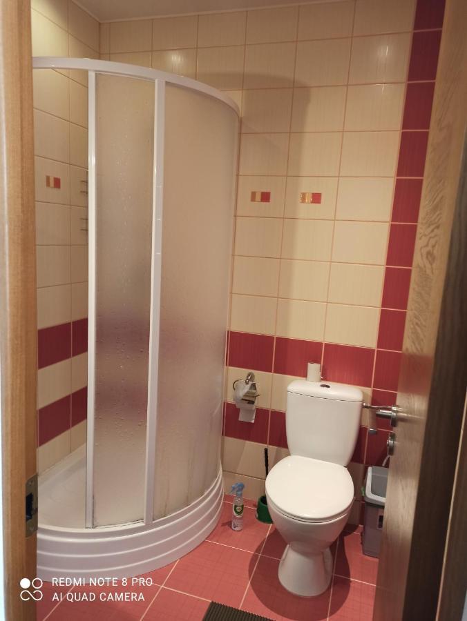 Nelli Apartamentai دروسكينينكاي المظهر الخارجي الصورة